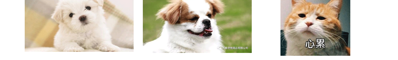 深圳網(wǎng)站設(shè)計公司_高端定制設(shè)計網(wǎng)站_營銷型網(wǎng)站設(shè)計制作_深圳網(wǎng)站建設(shè) 深圳網(wǎng)站設(shè)計公司_高端定制設(shè)計網(wǎng)站_營銷型網(wǎng)站設(shè)計制作_深圳網(wǎng)站建設(shè)