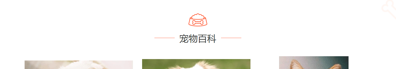 深圳網(wǎng)站設(shè)計公司_高端定制設(shè)計網(wǎng)站_營銷型網(wǎng)站設(shè)計制作_深圳網(wǎng)站建設(shè) 深圳網(wǎng)站設(shè)計公司_高端定制設(shè)計網(wǎng)站_營銷型網(wǎng)站設(shè)計制作_深圳網(wǎng)站建設(shè)