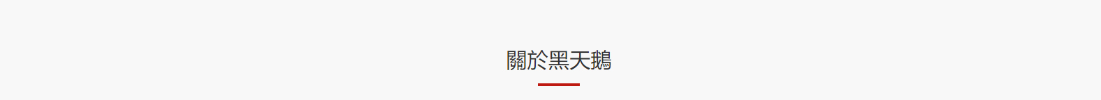 深圳網(wǎng)站設(shè)計(jì)公司_高端定制設(shè)計(jì)網(wǎng)站_營銷型網(wǎng)站設(shè)計(jì)制作_深圳網(wǎng)站建設(shè) 深圳網(wǎng)站設(shè)計(jì)公司_高端定制設(shè)計(jì)網(wǎng)站_營銷型網(wǎng)站設(shè)計(jì)制作_深圳網(wǎng)站建設(shè)