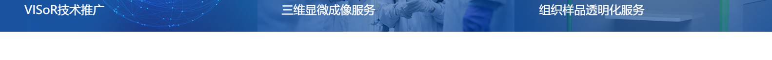 合肥百會拓知科技有限公司_響應(yīng)式網(wǎng)站建設(shè)設(shè)計案例