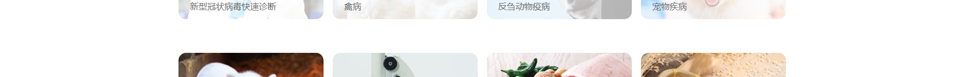 企業(yè)網(wǎng)站建設案例 新型冠狀病毒快速診斷